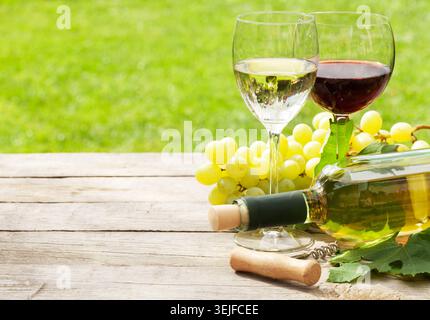 Verres à vin blanc et rouge, bouteille de vin et raisin blanc Banque D'Images
