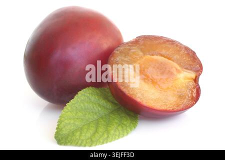 Prunes avec feuille verte sur fond blanc Banque D'Images