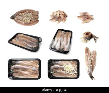Ensemble de hareng néerlandais isolé, filet de viande de poisson salé, maatjes traditionnels, hareng atlantique frais, matias holenderski, clupea harengus membras sur blanc Banque D'Images