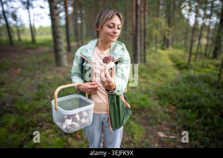 Femme satisfaite rassemblant des champignons dans la forêt d'automne avec panier, tenant bolete frais à la main Banque D'Images