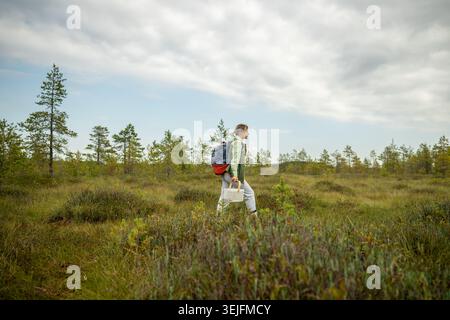 Femme avec panier marche à travers la tourbière à la recherche de champignons lors d'une promenade dans la nature d'automne Banque D'Images