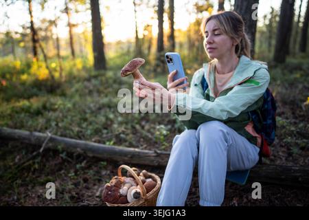 Femme randonneur se reposant, assis sur le rondin dans la forêt, prenant des photos de gros boletus en main sur smartphone. Banque D'Images