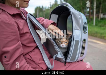 Jeune femme explorant la nature avec son animal de compagnie le week-end, chat domestique assis dans le sac à dos de transporteur Kitty Banque D'Images