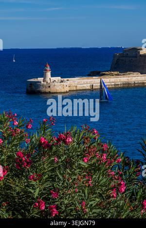 Malte - la Valette, Fort Ricasoli Banque D'Images