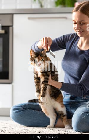 Femme souriante propriétaire peignant, grattant Calico chat. Peignez les cheveux, gros plan Banque D'Images
