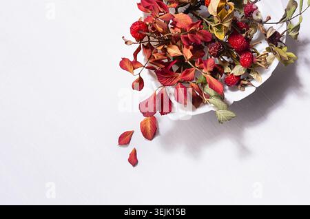 Arrière-plan d'automne avec des feuilles rouges séchées égouttées et des baies dans un bol à feuilles avec ombre sur une table en bois blanc, vue de dessus, gros plan. Banque D'Images