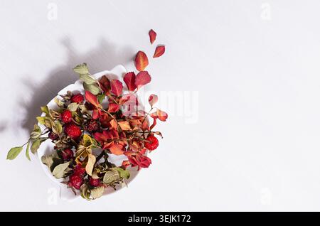 Automne simple fond abstrait avec des feuilles rouges séchées rose hanche sur la branche dans le bol au rayon du soleil avec ombre sur la lumière douce blanc w Banque D'Images