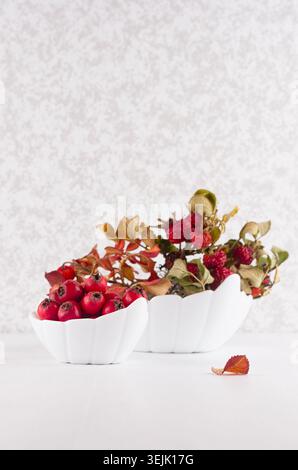 Décoration de la maison d'automne avec des feuilles rouges séchées rose musquée, baies mûres aubépine dans un bol sur une table en bois blanc, espace de copie, vertical. Banque D'Images