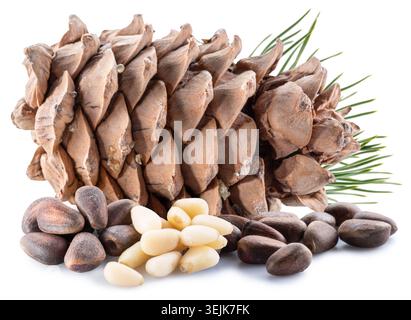 Pignons de pin ou noix de cèdre avec cône de cèdre isolé sur un fond blanc, représentant des aliments sains biologiques riches en nutriments et ingrédients naturels Banque D'Images