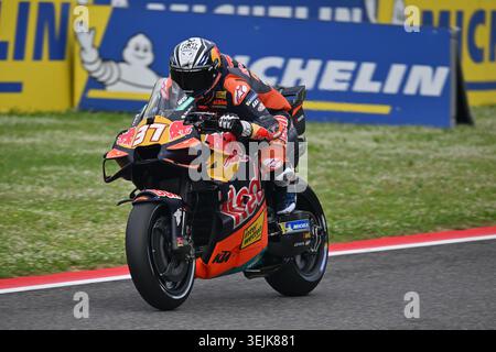 37 ACOSTA Pedro (spa), Red Bull KTM Factory Racing, KTM RC16, action lors du Grand Prix MotoGP Brembo d'Italie 2026, sur le circuit du Mugello, du 29 au 31 mai, en Italie - photo Studio Milagro / DPPI Banque D'Images