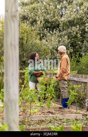 Couple récoltant dans des lits d'arrière-cour, femme en pull vert tenant le panier en osier, homme tenant l'outil. Jardiniers, maison, Vegeta Banque D'Images