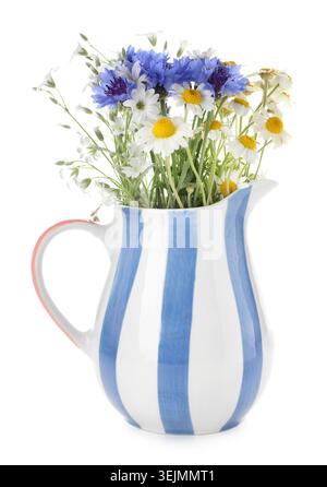 Belles fleurs sauvages en pichet isolé sur blanc Banque D'Images