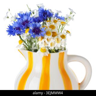 Belles fleurs sauvages en pichet isolé sur blanc Banque D'Images