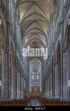 Nef principale de la cathédrale d'Amiens, France, vue en angle bas. Hautes arches en pierre gothique et piliers à l'intérieur de la cathédrale Banque D'Images