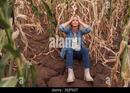 Triste femme fermière assise dans un champ sec et tenant la tête avec ses mains Banque D'Images