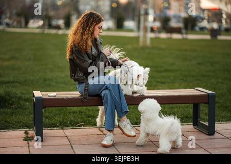 Femme assise sur le banc du parc avec deux chiens Banque D'Images