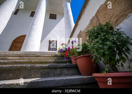 Vue en bas angle des marches de pierre menant à une façade blanche de bâtiment avec de grandes colonnes et des portes et fenêtres en bois avec des plantes en pot contenant le flux Banque D'Images