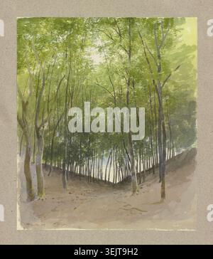 Scène de forêt dans un fond de vallée, 1859. Banque D'Images