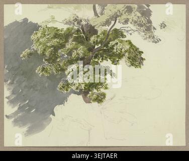 Arbre dans le vent, c1840-1890. Banque D'Images