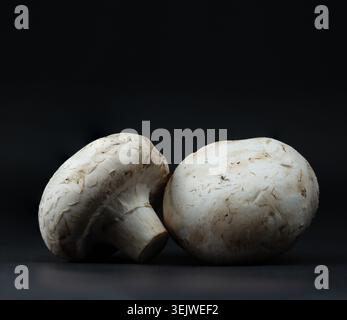 Composition minimaliste de deux champignons champignon crus sur une surface sombre avec un éclairage dramatique et sombre Banque D'Images