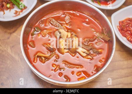 Ce ragoût épicé de champignons coréens est composé de champignons terreux et de fernbrake dans un bouillon rouge ardent. Il offre un repas rustique profondément réconfortant et savoureux. Banque D'Images