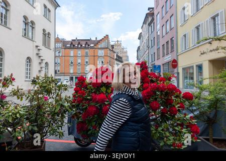 Une femme âgée heureuse aux cheveux blonds et aux lunettes posant par des buissons de rhododendron rouges en fleurs dans une rue de l'historique Altstadt près de Burgersaal Banque D'Images