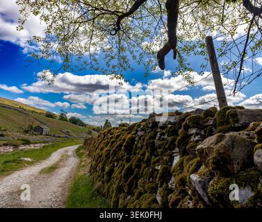 Mur de pierre recouvert de mousse à côté d'une piste de terre dans le haut Wharfedale dans le parc national des Yorkshire Dales Banque D'Images