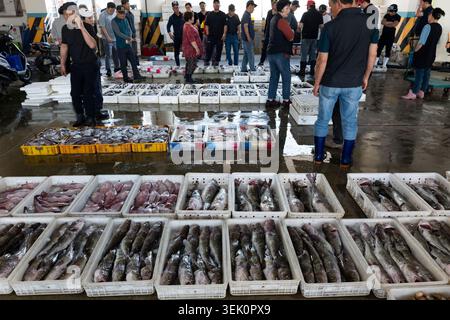 Donghae, Corée du Sud. 31 mai 2026. Vente aux enchères de pêcheurs sur un marché de fruits de mer au port de Mukho dans la ville de Donghae, province de Gangwon-do, Corée du Sud, 31 mai 2026. Crédit : Jun Hyosang/Xinhua/Alamy Live News Banque D'Images