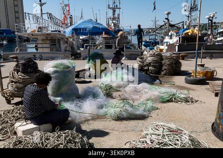 Donghae, Corée du Sud. 31 mai 2026. Les pêcheurs taillent des filets au port de Mukho dans la ville de Donghae, province de Gangwon-do, Corée du Sud, 31 mai 2026. Crédit : Jun Hyosang/Xinhua/Alamy Live News Banque D'Images