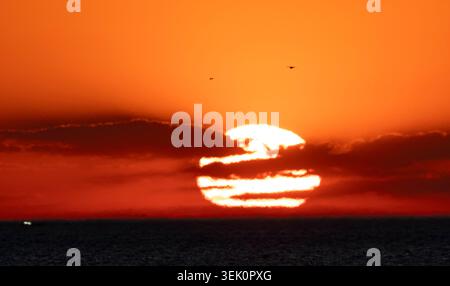 Donghae. 31 mai 2026. Cette photo prise le 31 mai 2026 montre une vue du lever du soleil près du port de Mukho dans la ville de Donghae, province de Gangwon-do, Corée du Sud. Crédit : Jun Hyosang/Xinhua/Alamy Live News Banque D'Images