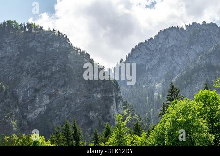 Majestueux sommets montagneux couverts d'arbres verdoyants sous un ciel nuageux Banque D'Images