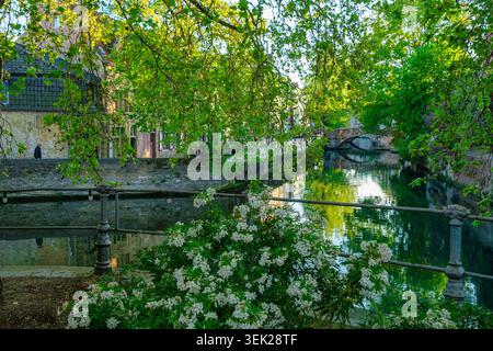 Vue matinale sur les canaux et les maisons historiques à Bruges, Belgique. Romantique paysage urbain médiéval avec des reflets, destination de voyage populaire pour le tourisme, l Banque D'Images