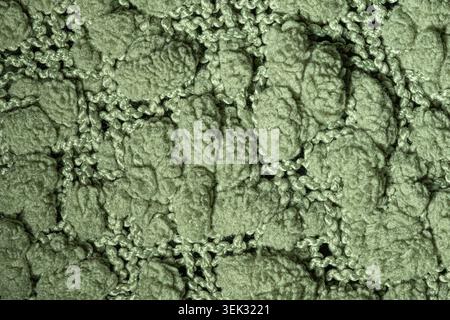 Gros plan macro de dentelle fleurie verte avec un motif textile décoratif complexe avec des motifs floraux en relief et des détails tissés. La texturée Banque D'Images