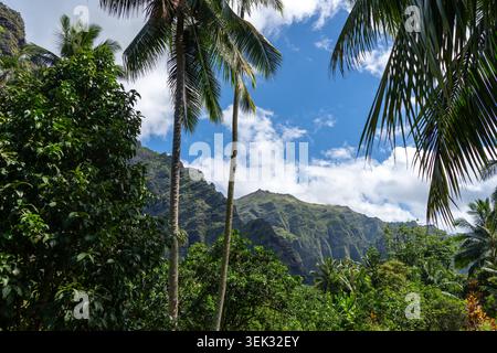 Un chemin de jungle luxuriant à travers la vallée de Hakaui, Nuku Hiva, les îles Marquises, Polynésie française. D'imposantes falaises de basalte et une végétation dense entourent le tra Banque D'Images