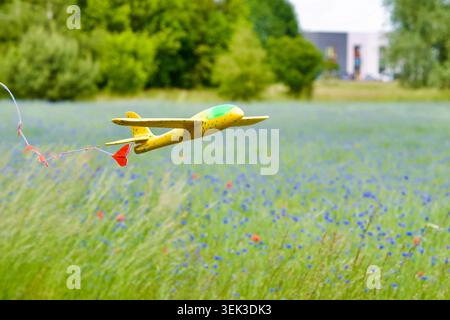 Un avion de planeur jouet en mousse jaune volant dans les airs, traînant une chaîne de petits coeurs en papier rouge. L'avion glisse au-dessus d'un beau meado vert d'été Banque D'Images
