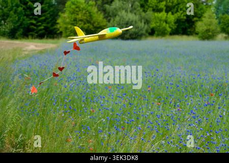 Un avion de planeur jouet en mousse jaune volant dans les airs, traînant une chaîne de petits coeurs en papier rouge. L'avion glisse au-dessus d'un beau meado vert d'été Banque D'Images