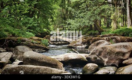 Grands rochers dans une rivière calme, Naab entouré d'une forêt dense et de la nature verdoyante, printemps, randonnée dans la réserve naturelle, vallée de Waldnaab, Haut Palatinat Banque D'Images