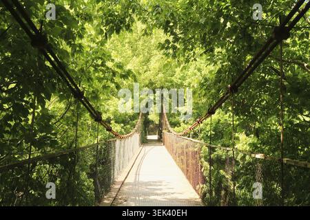 Marcher sur le pont de corde de Mavrikov, un petit pont suspendu piétonnier métallique sur la rivière Yantra entouré par une forêt luxuriante et dense d'an Banque D'Images