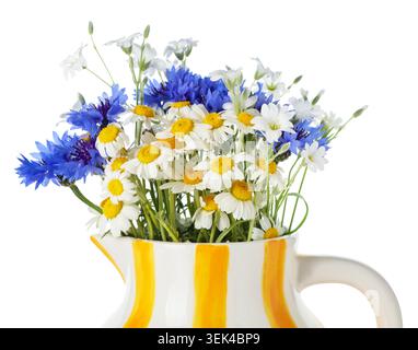 Belles fleurs sauvages en pichet isolé sur blanc Banque D'Images