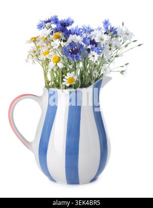 Belles fleurs sauvages en pichet isolé sur blanc Banque D'Images
