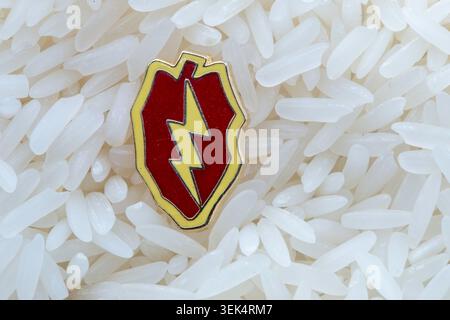 L'insigne de l'unité de la 25e division d'infanterie est une feuille de taro écarlate et jaune et un éclair, aux États-Unis Banque D'Images