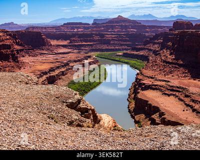 Moab, Utah 15 mai 2026 une végétation verte luxuriante pousse le long des rives du fleuve Colorado dans les Canyonlands de Moab Banque D'Images