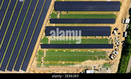 Vue aérienne de la grande ferme solaire avec des panneaux bleus dans les champs verts Banque D'Images