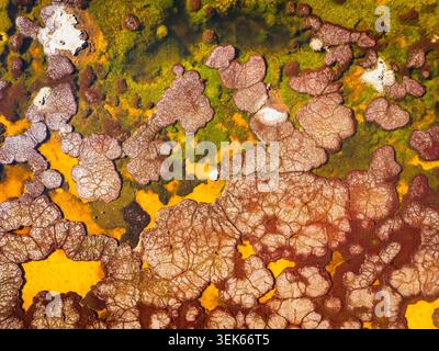 Motifs abstraits colorés d'une source géothermique vue d'en haut Banque D'Images