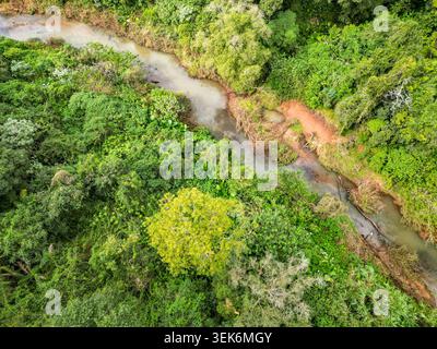 Photographie aérienne par drone d'Arroio Feitoria entouré d'une forêt dense à Ivoti, Rio Grande do Sul, Brésil. L'image met en valeur le paysage naturel, Banque D'Images
