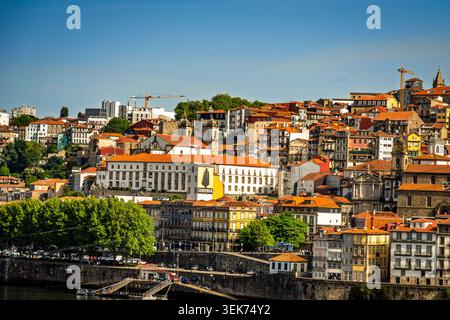 Vue panoramique sur le front de mer historique de Porto et l'architecture colorée à flanc de colline. Banque D'Images