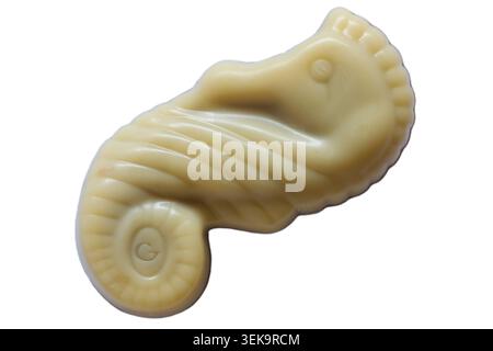 Chocolat Guylian de la boîte de chocolats Guylian Belgian Deluxe assortiment isolé sur fond blanc - chocolat belge premium café hippocampe Banque D'Images