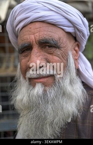 Homme afghan regardant directement la caméra, portant un turban blanc et une longue barbe grise. Banque D'Images