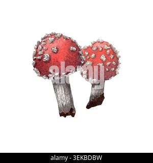 Illustration aquarelle de champignons agariques à la volée. Champignons forestiers rouges peints à la main Amanita muscaria isolé sur fond blanc. Nature botanique d'automne Banque D'Images