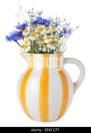 Belles fleurs sauvages en pichet isolé sur blanc Banque D'Images
